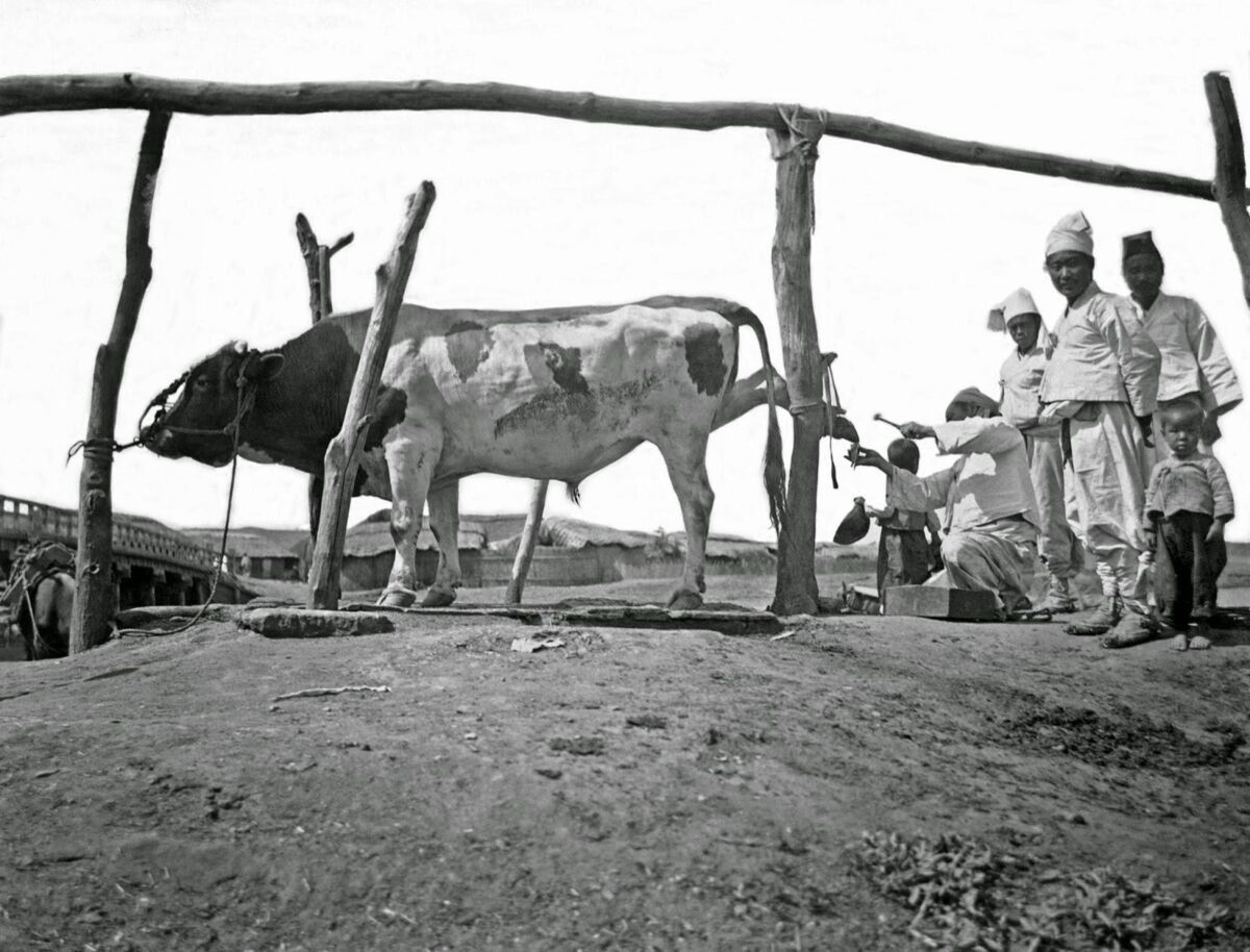 d256e950-13ec-484d-aa2d-f18e9a2f92cc