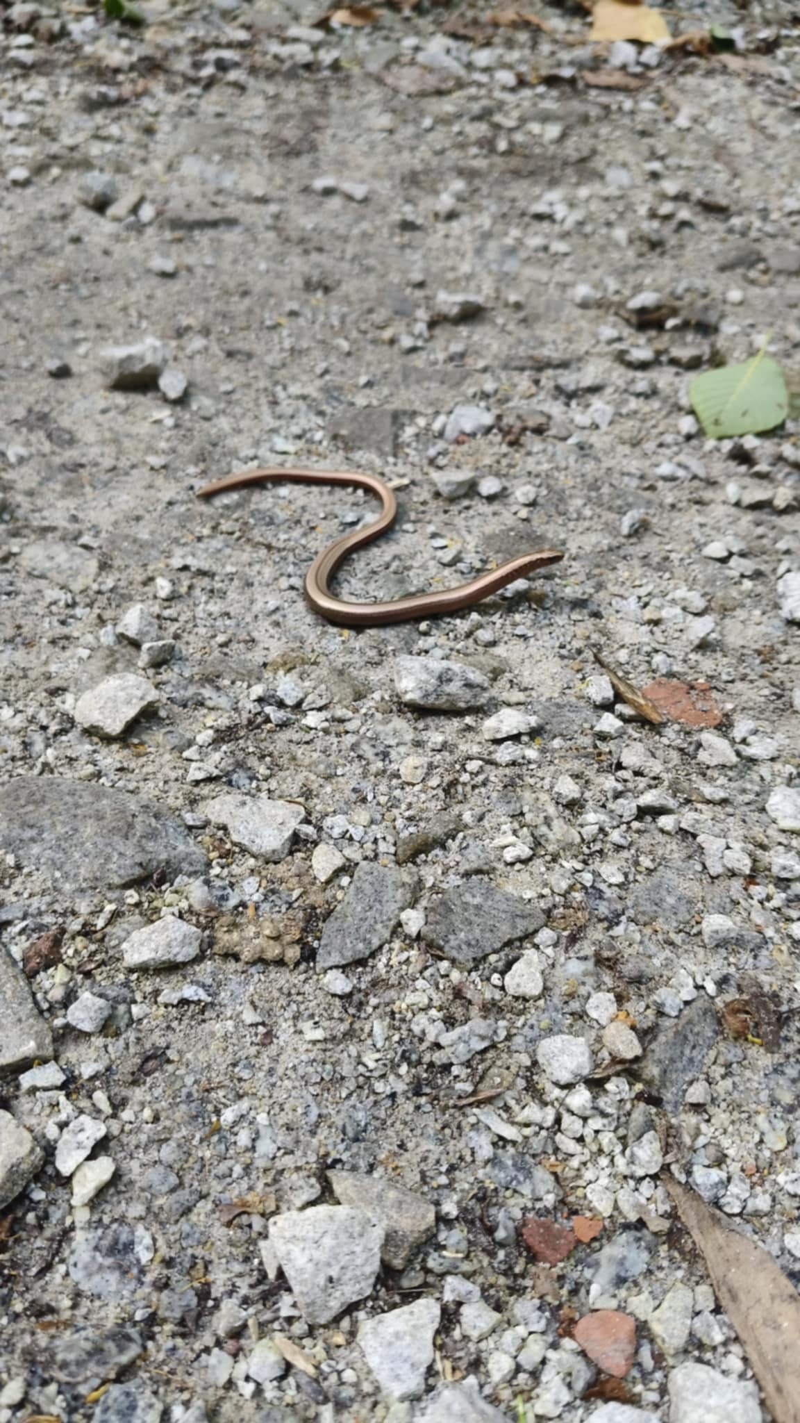 b396087d-7e64-421b-9363-4b054c1f4753