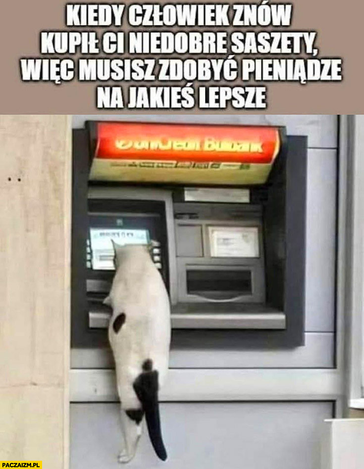 a804eb09-f76a-4224-a714-c461eb8f84a3