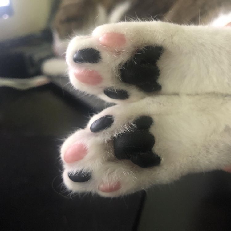 598045ad-f121-4dfa-bfb7-797f5ffff586