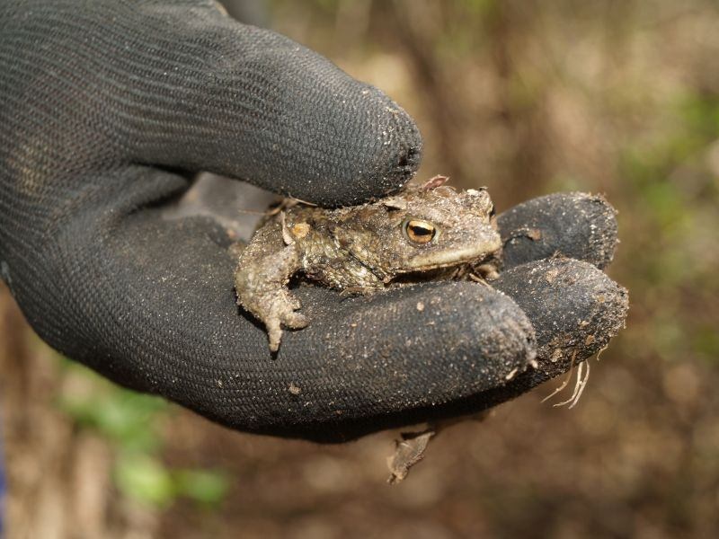 28c601e7-6ea8-40dd-b084-b5a2d492a392