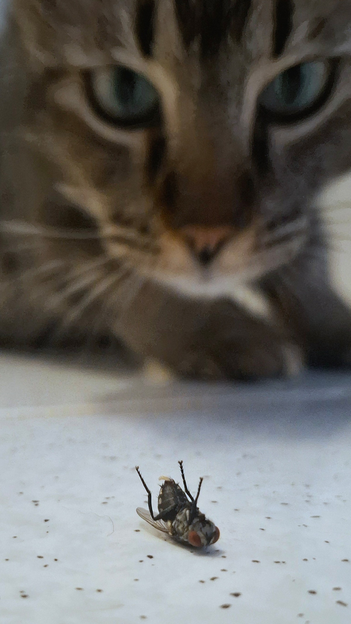 03eb539f-4993-4743-895c-d516b94a4891