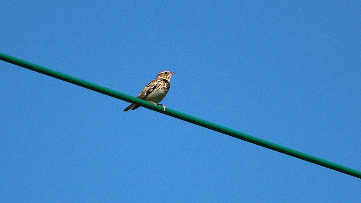 b00482a6-65f6-4257-b9b4-b4b3618554b9