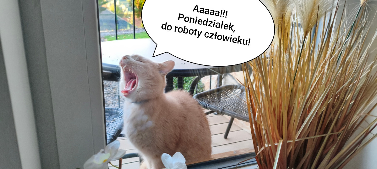 5e4907e5-2efc-46cc-bc98-ab6e2afe6d23