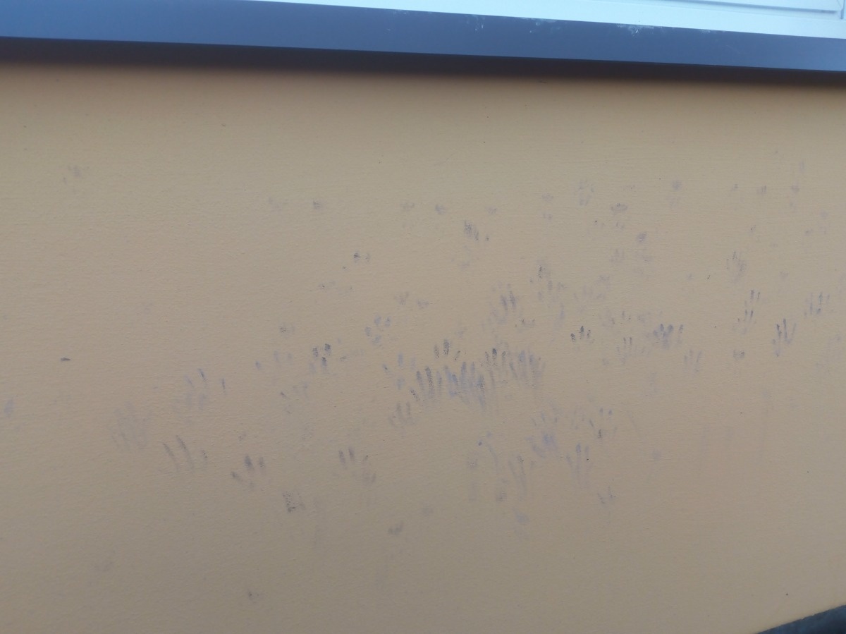 52edb0c6-b7d8-457b-a0e1-3db1334e7adb