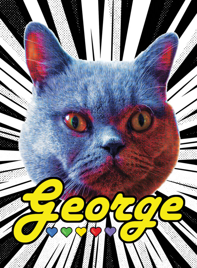 44425c4b-85f0-46fe-8943-af11868cd59f