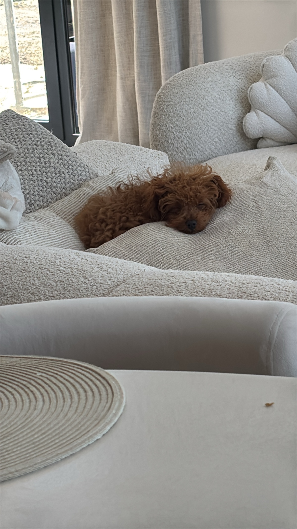 a01083c0-adec-422b-b797-5553a57cbccf