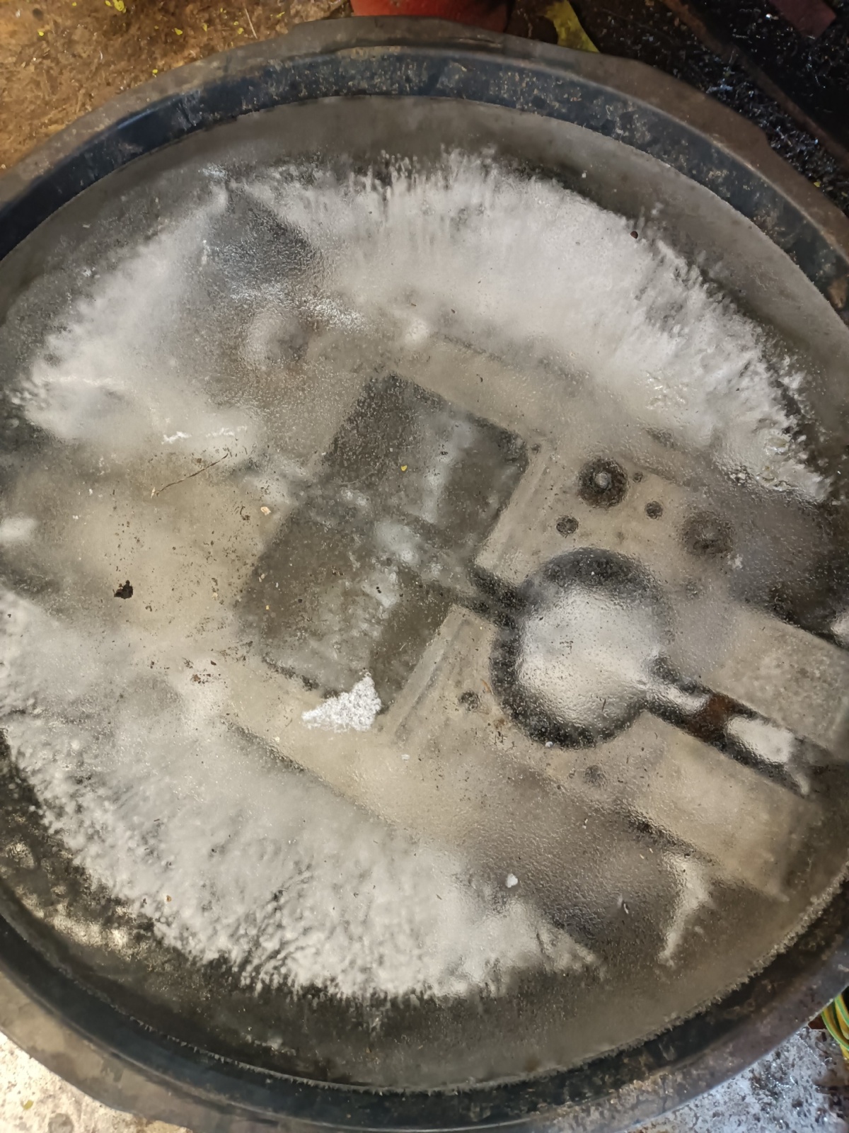 6d2ad824-ec1f-42f7-b412-d1185bfab093