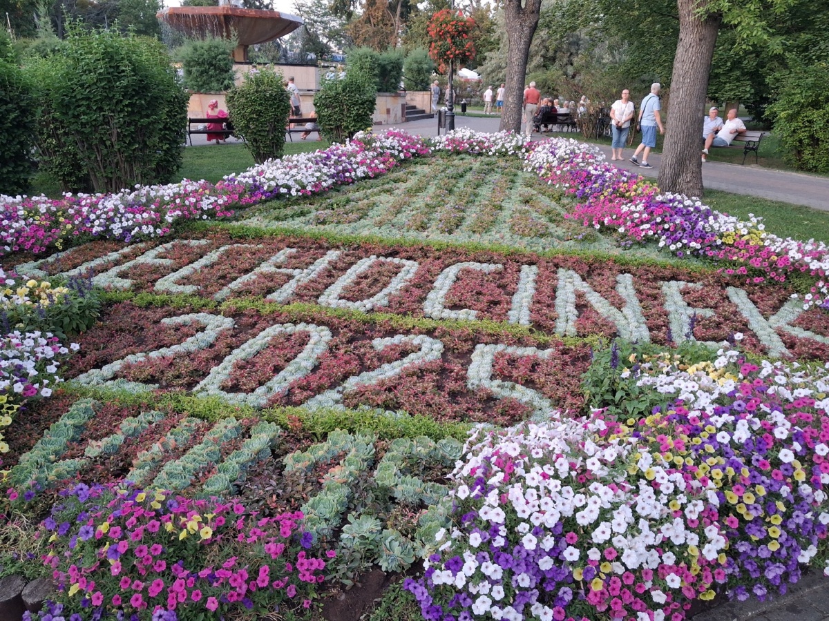 fca1b5ef-70ff-4aae-ad46-229d8807e313