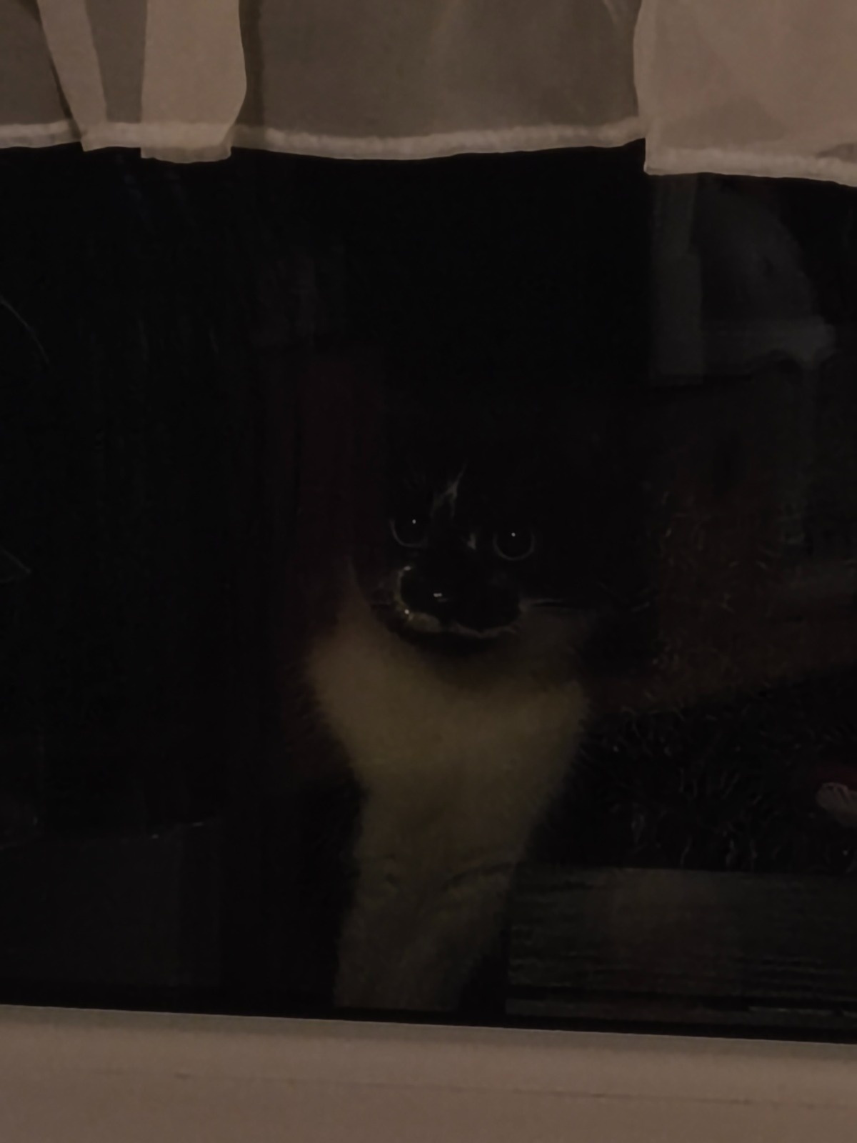 ead8537c-8561-4b54-9a2b-b969f72b4ca4