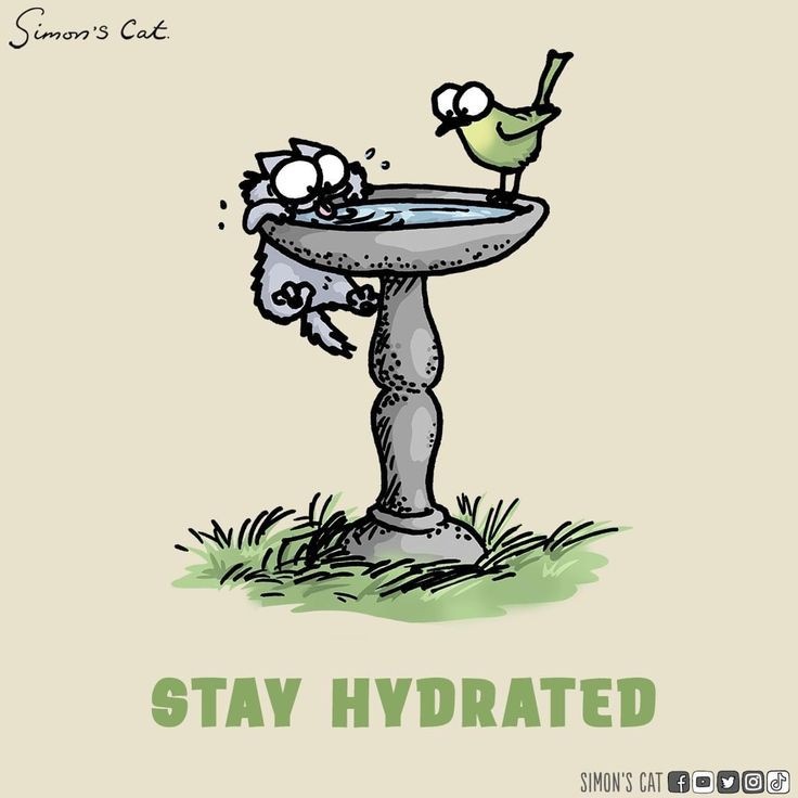 72b8a3dd-fc5a-4963-8f89-6eb307b7e893