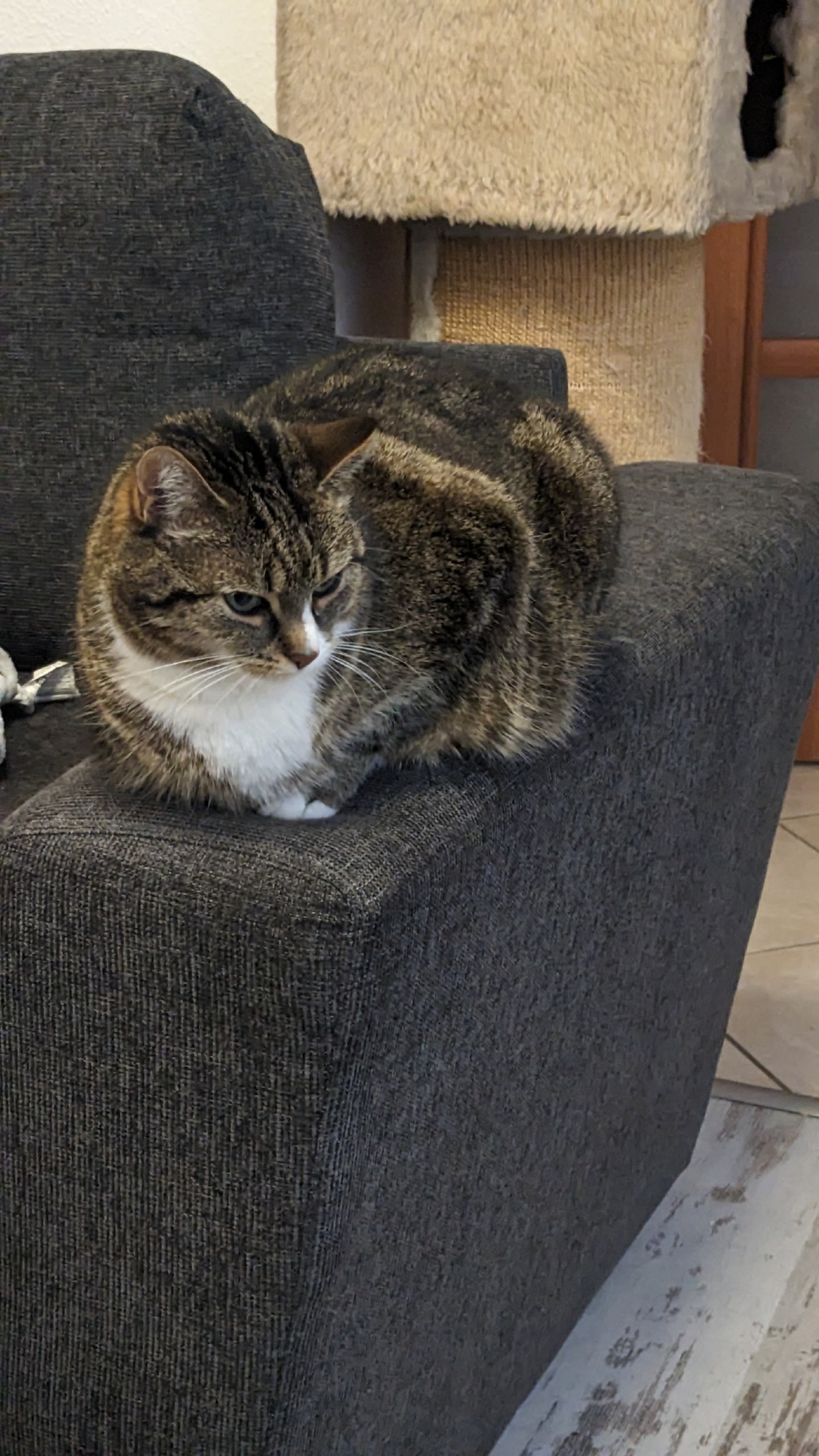 61b29fcc-36b5-4fac-b5d9-b462a08620d9