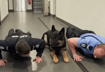 a471e4f8-867d-4f70-b2ae-59060983504c