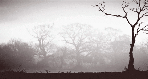 c2671ac3-0481-4ae2-8a5c-56181cee6013