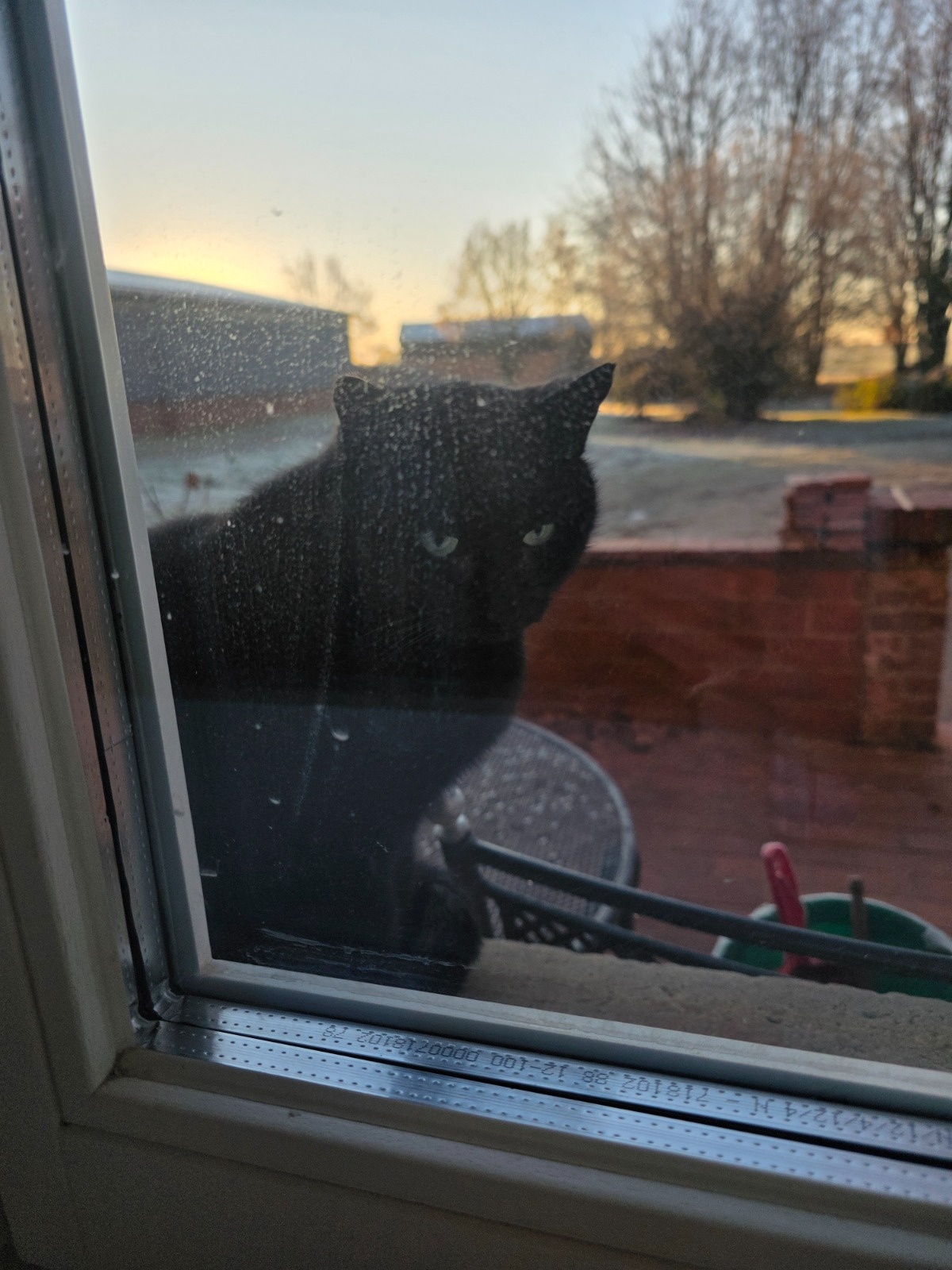 78ce7da9-88eb-4750-83cc-986e08d020bb