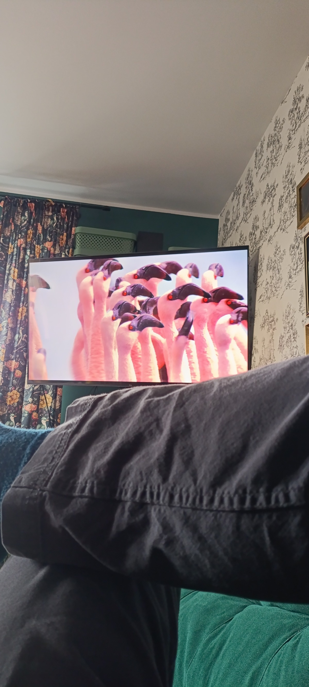 30c2a99a-c854-475f-b575-2aee14963c74