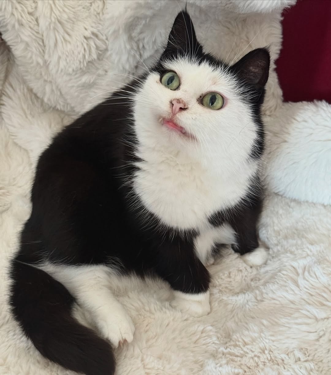 e3c3f68d-a28c-45b9-aafd-d595e53fe8db