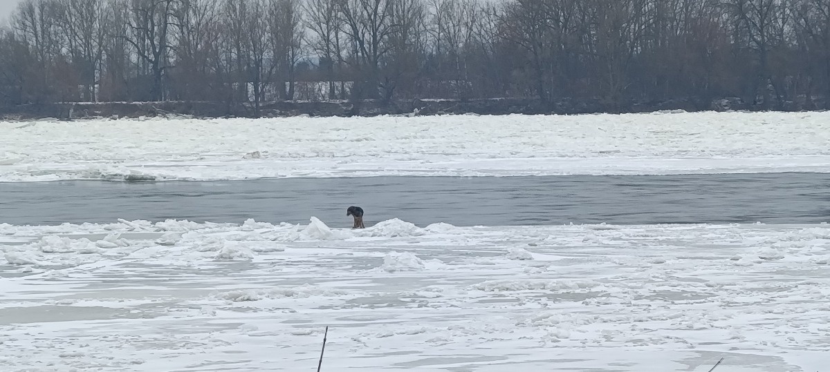 e2222166-7be7-4ae7-965f-78107737827d