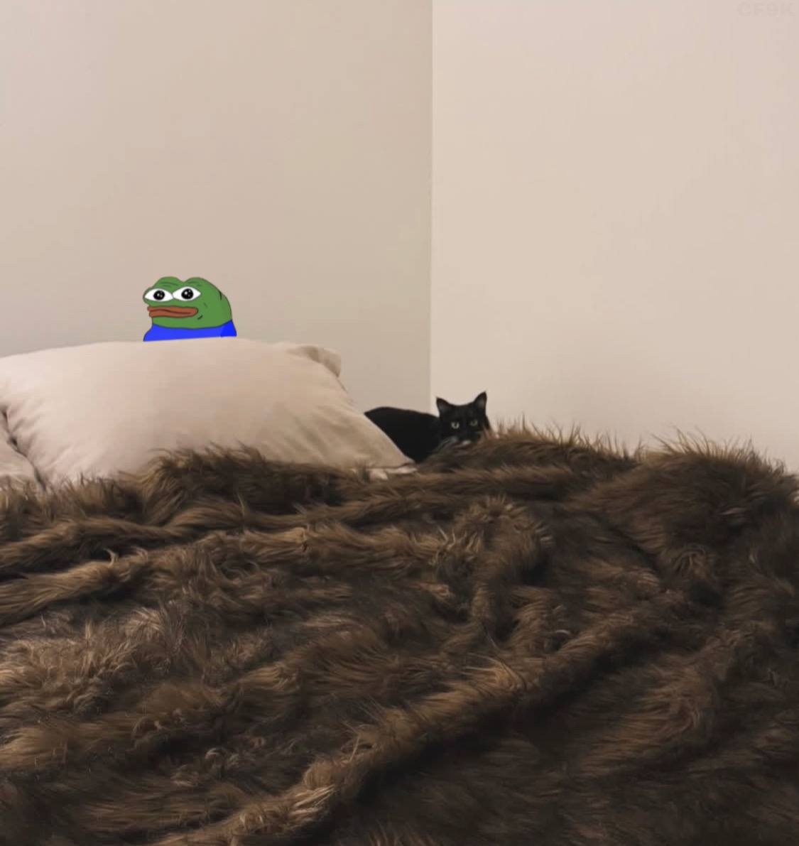 76bcabfe-84e0-4686-b9a9-9c426b81f23c