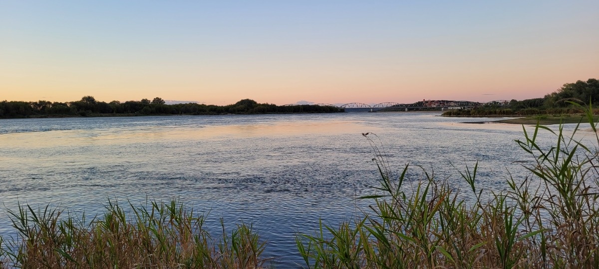 8edc4416-d528-45ae-9240-8afc480e9b89