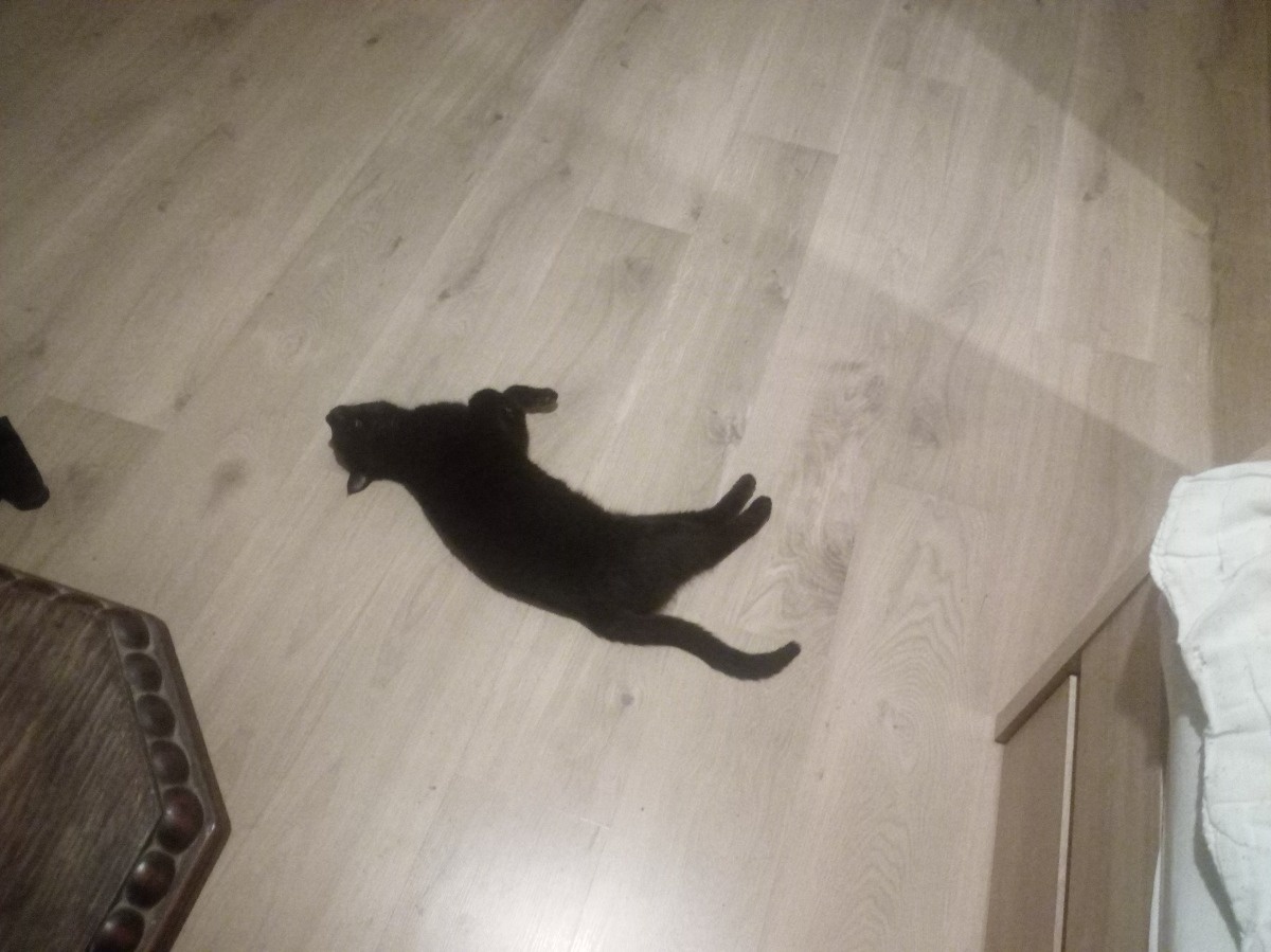 6d12cbf2-b262-45c2-9b11-478f50c950cb