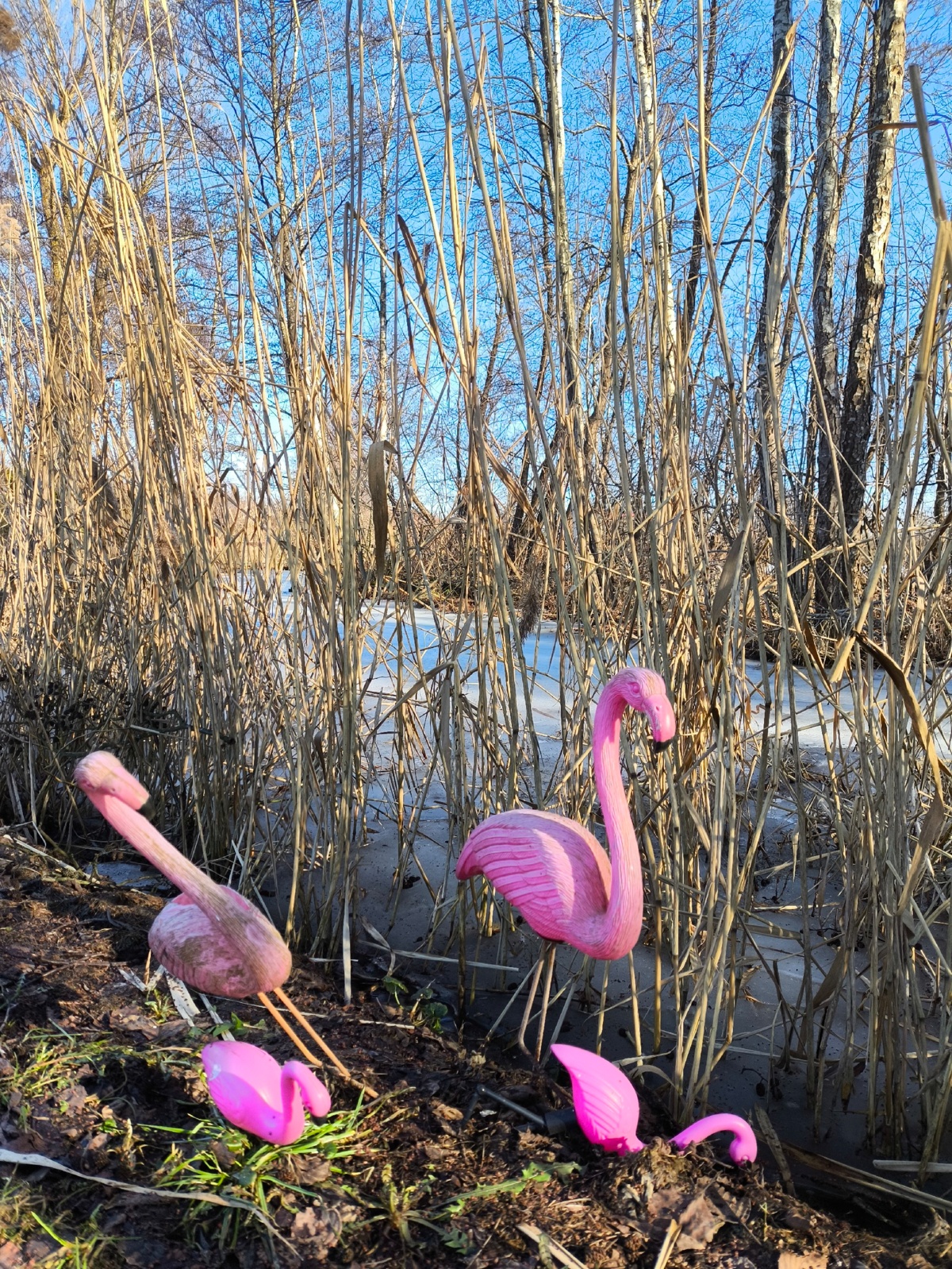 03e7ed85-3d79-4e1f-a91c-d144b2d51f75