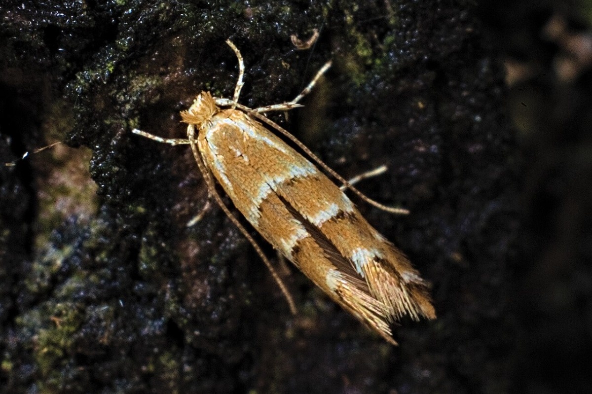 4a7613ff-b67f-4d8f-9b08-0838a94247c3