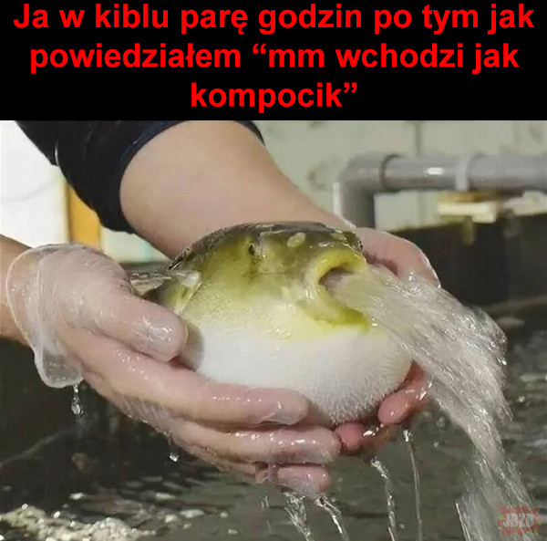 b043f406-b981-4244-ac60-593bfd9a075b