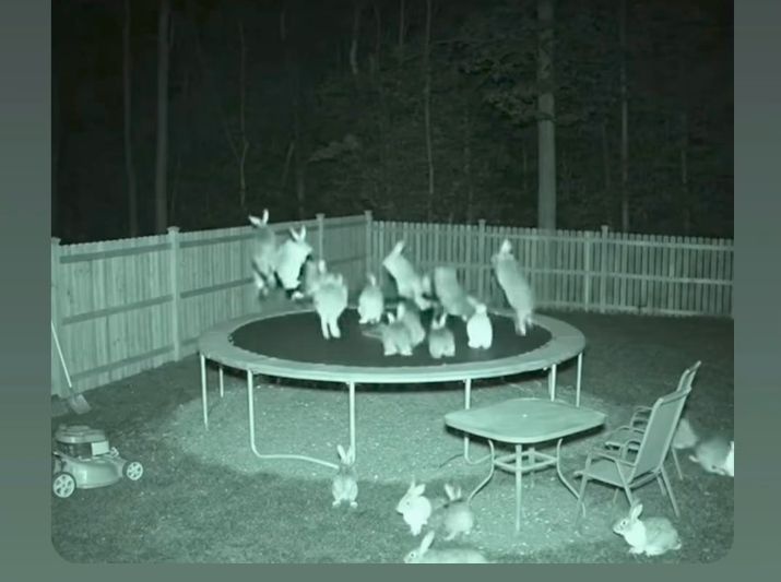 050a1e95-e055-4eeb-9b73-dfe066537d94