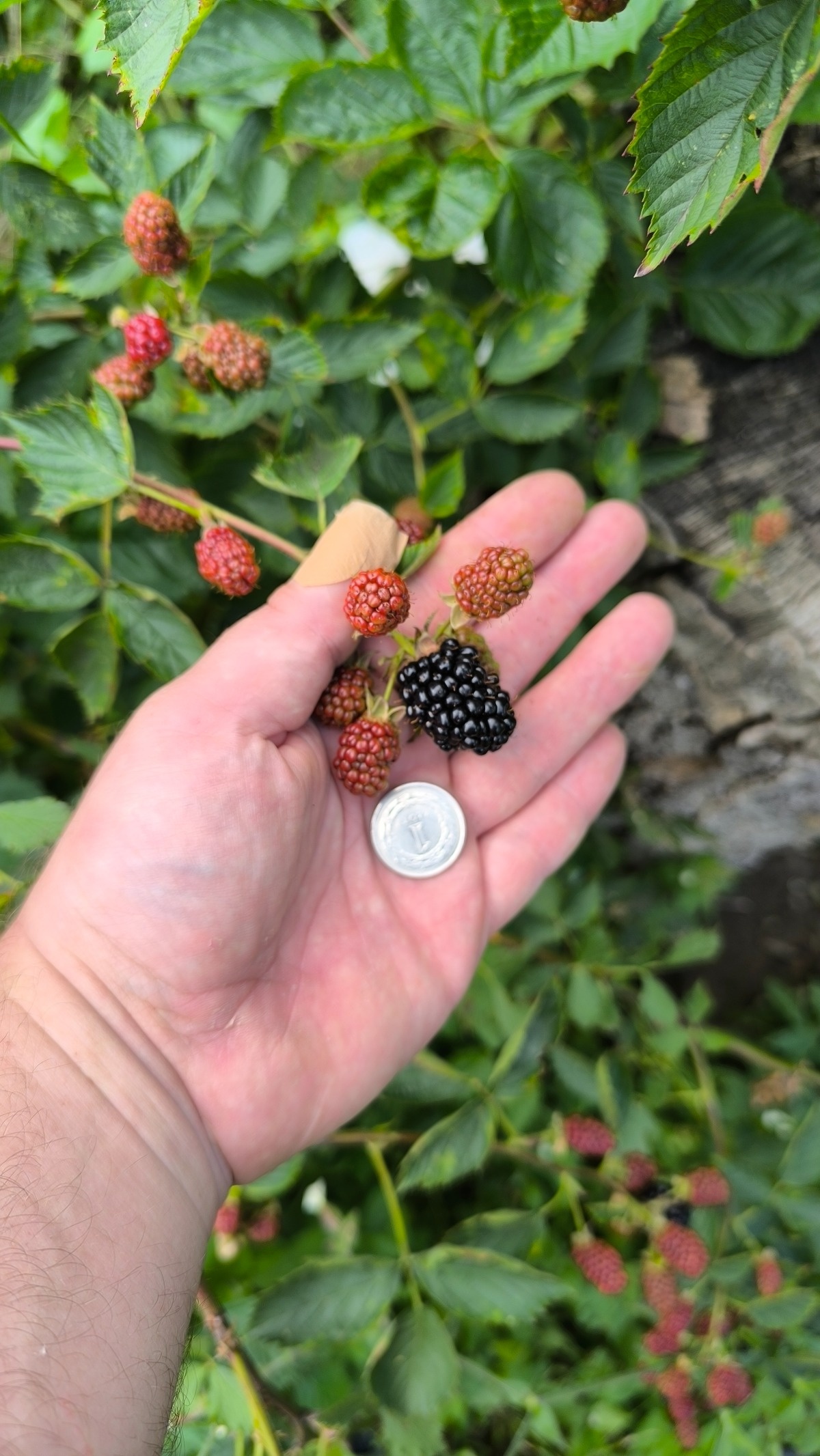 534eb910-fd4a-45ba-ba9b-f572277c7261