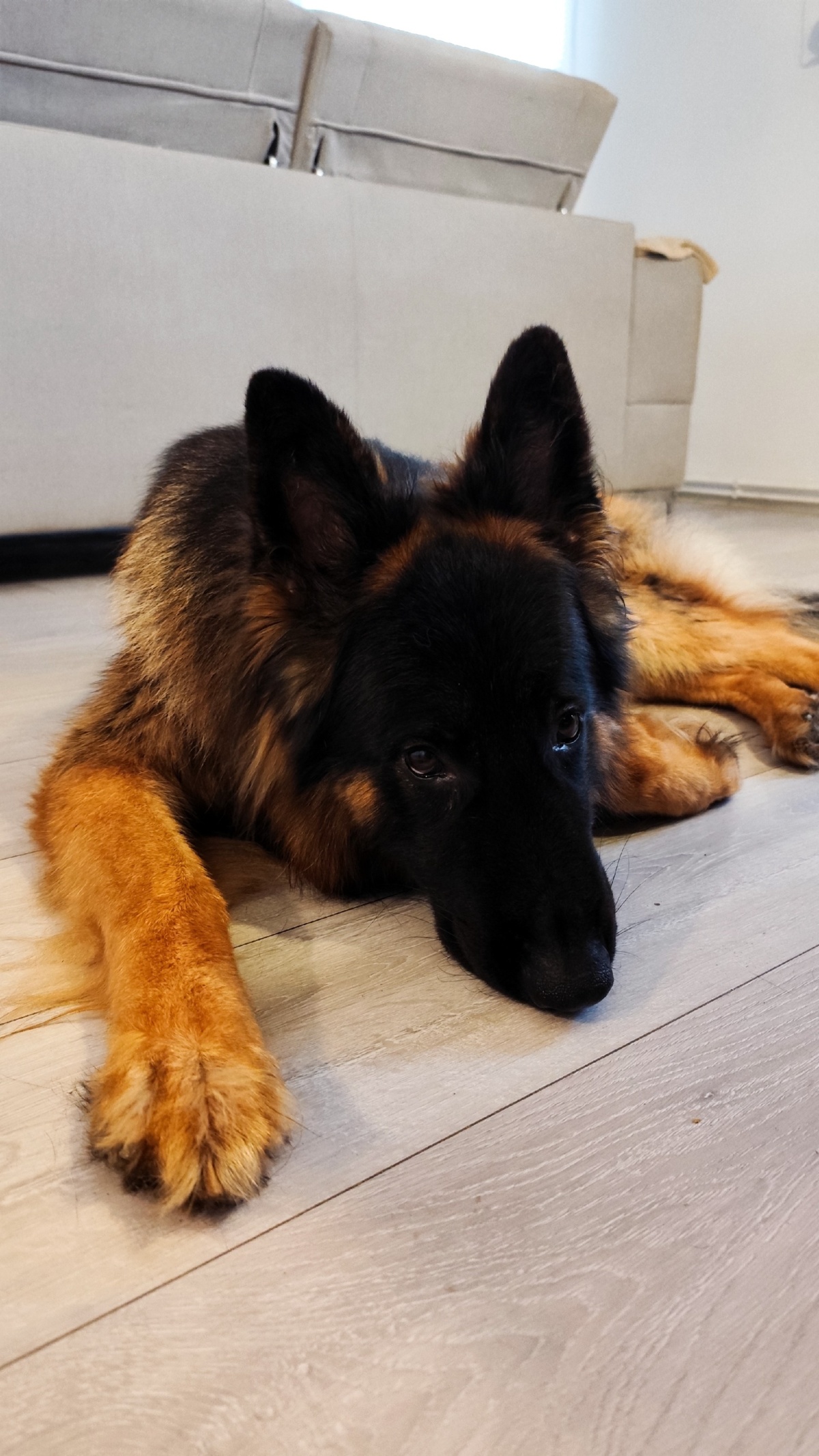 4209a5b7-f543-41cd-9e23-602e46ff6cfc