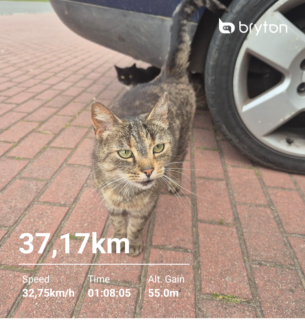 e81213fd-0a9f-4f75-b4d6-6f2cdb5ca467