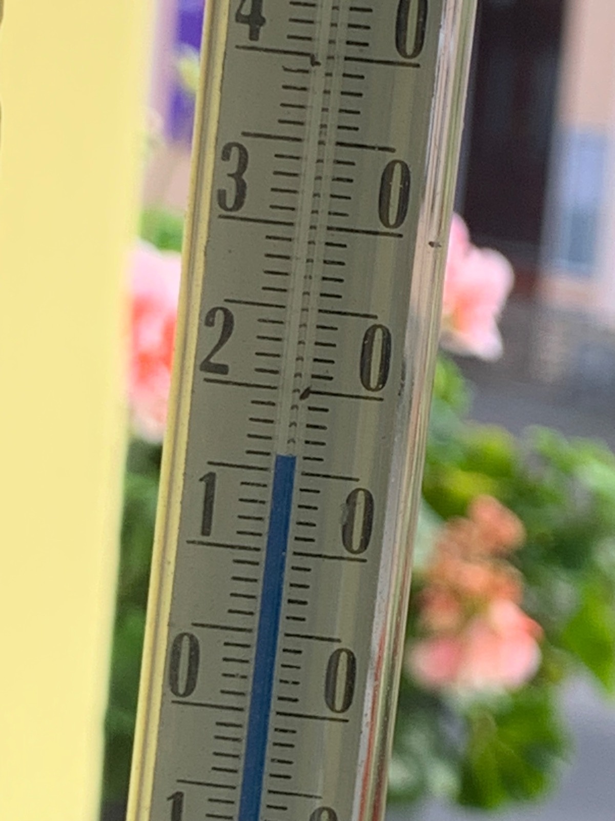 9950c5e8-3d64-4eca-8078-0b14c10e5fdb