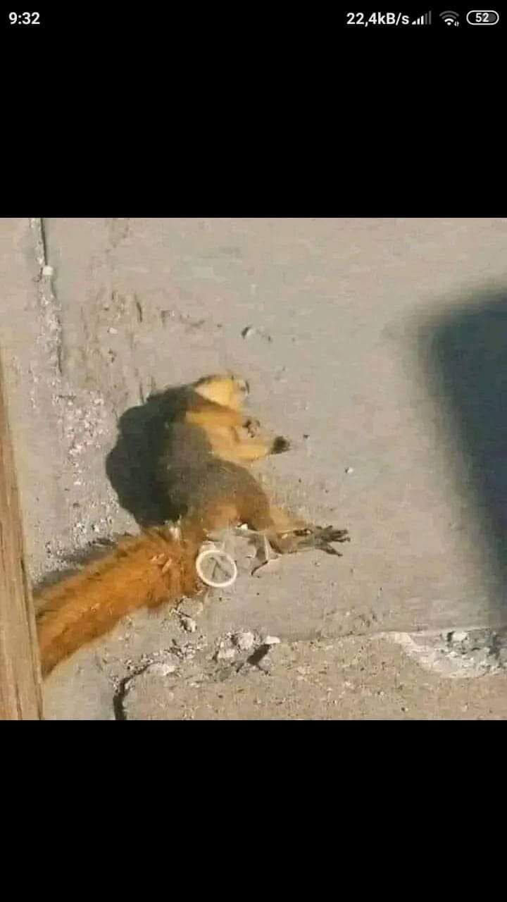 f2a354a6-9162-4c3f-a9c3-b2e3ecb834c3