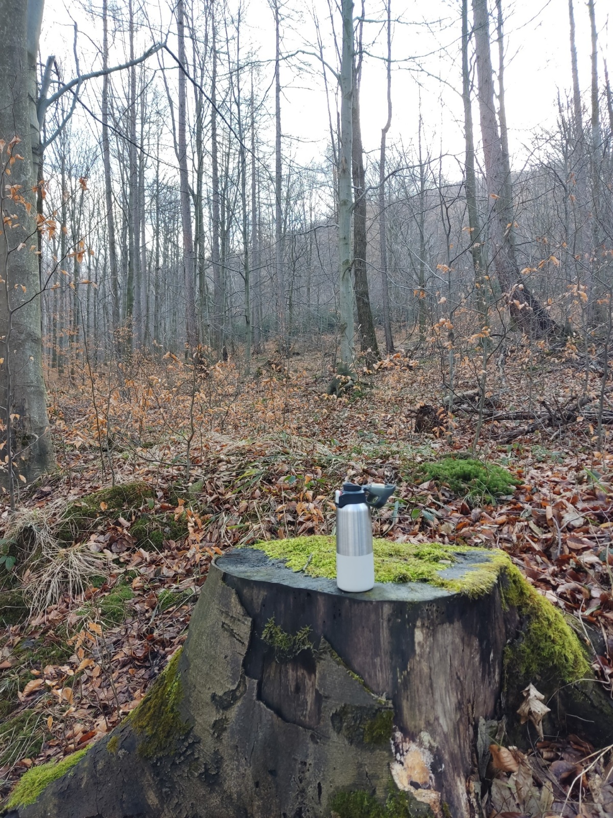 abff68b6-5bf4-4d41-a789-8c4fc7b3bac0