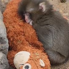 3dbee922-0a5e-467b-bd76-d41110d483bc