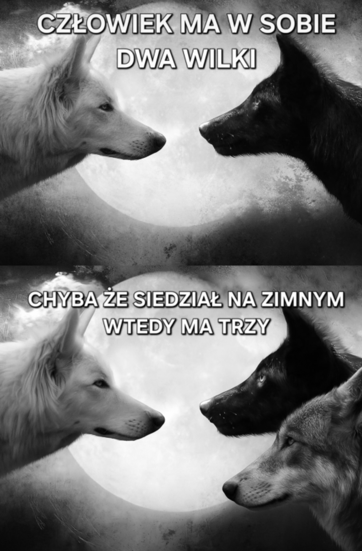 cbdb0efa-7f64-43af-87f1-7326621553c8