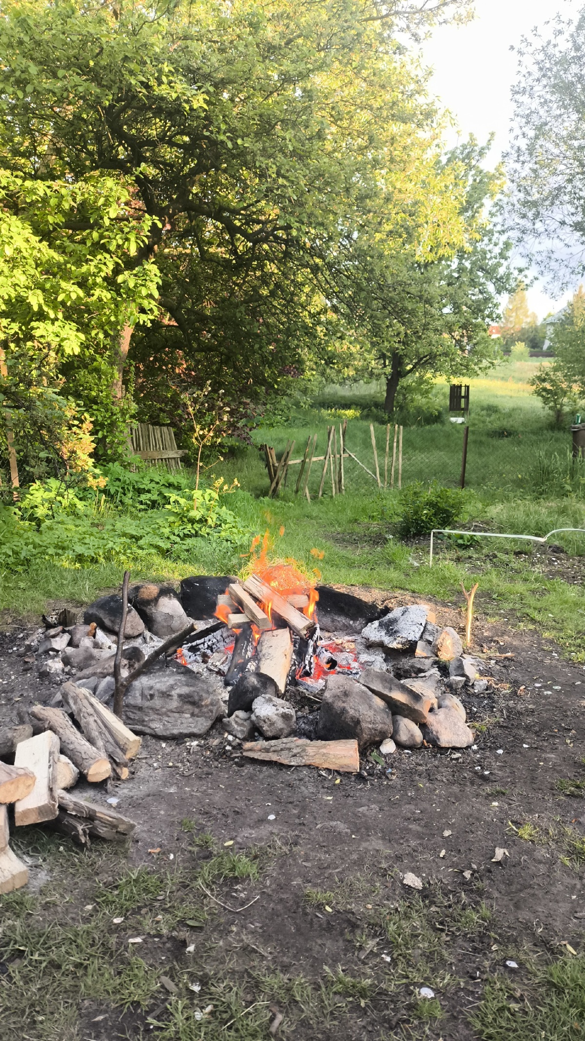 2c108851-7903-469c-83bc-1f912f170921