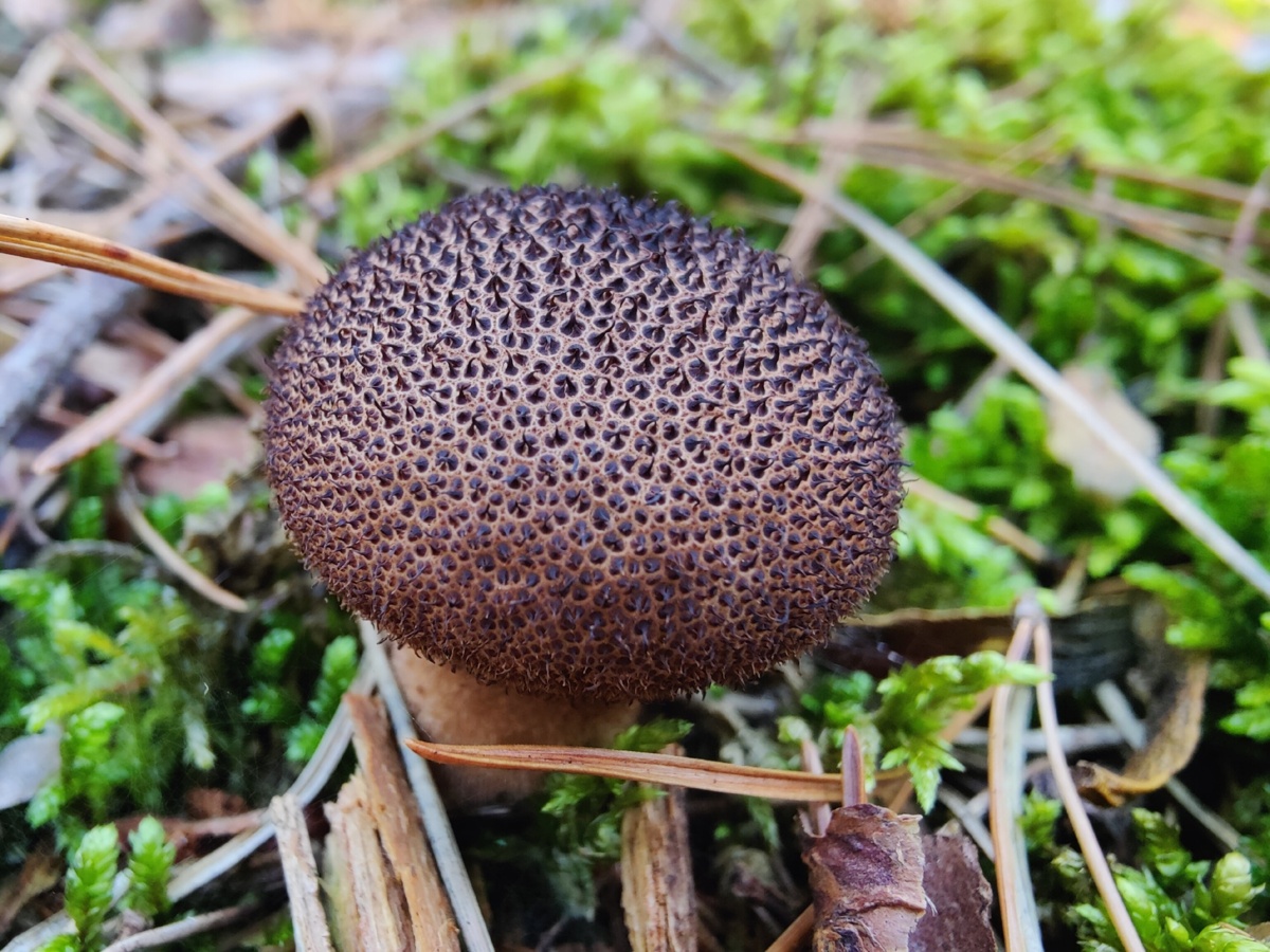 23c4d2e4-c219-417f-9dd7-e8835b373790