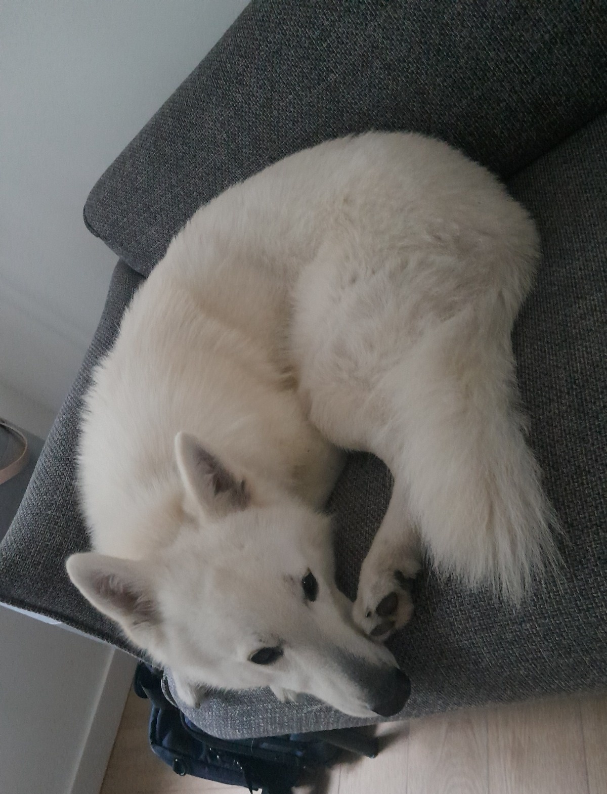 161365a4-56ad-4186-9ee9-5f4cd0a31fc0