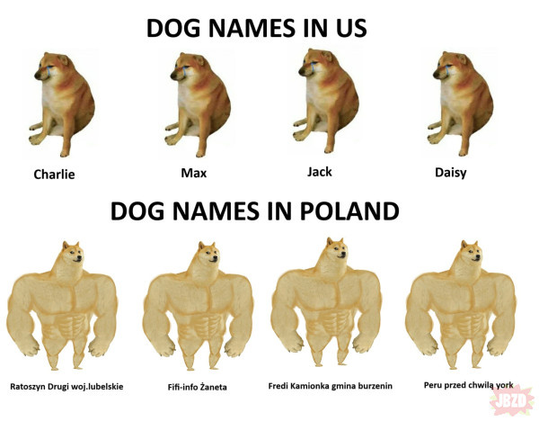 190b920c-c512-4b1e-85a1-73771842a839