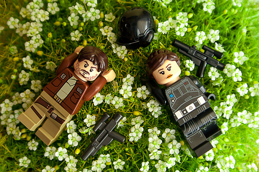 726feb9a-2222-4d16-9bfd-2f0035709b9f