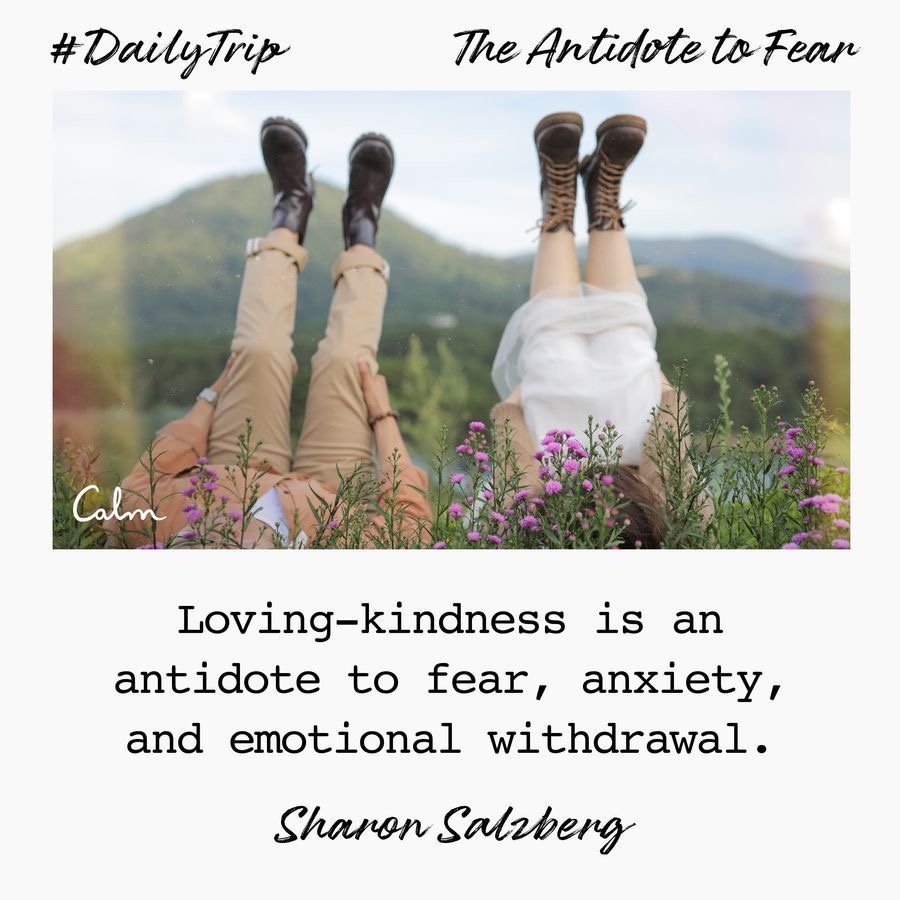 51e1dcf4-bc8e-46b4-9b7a-940b8aa59003