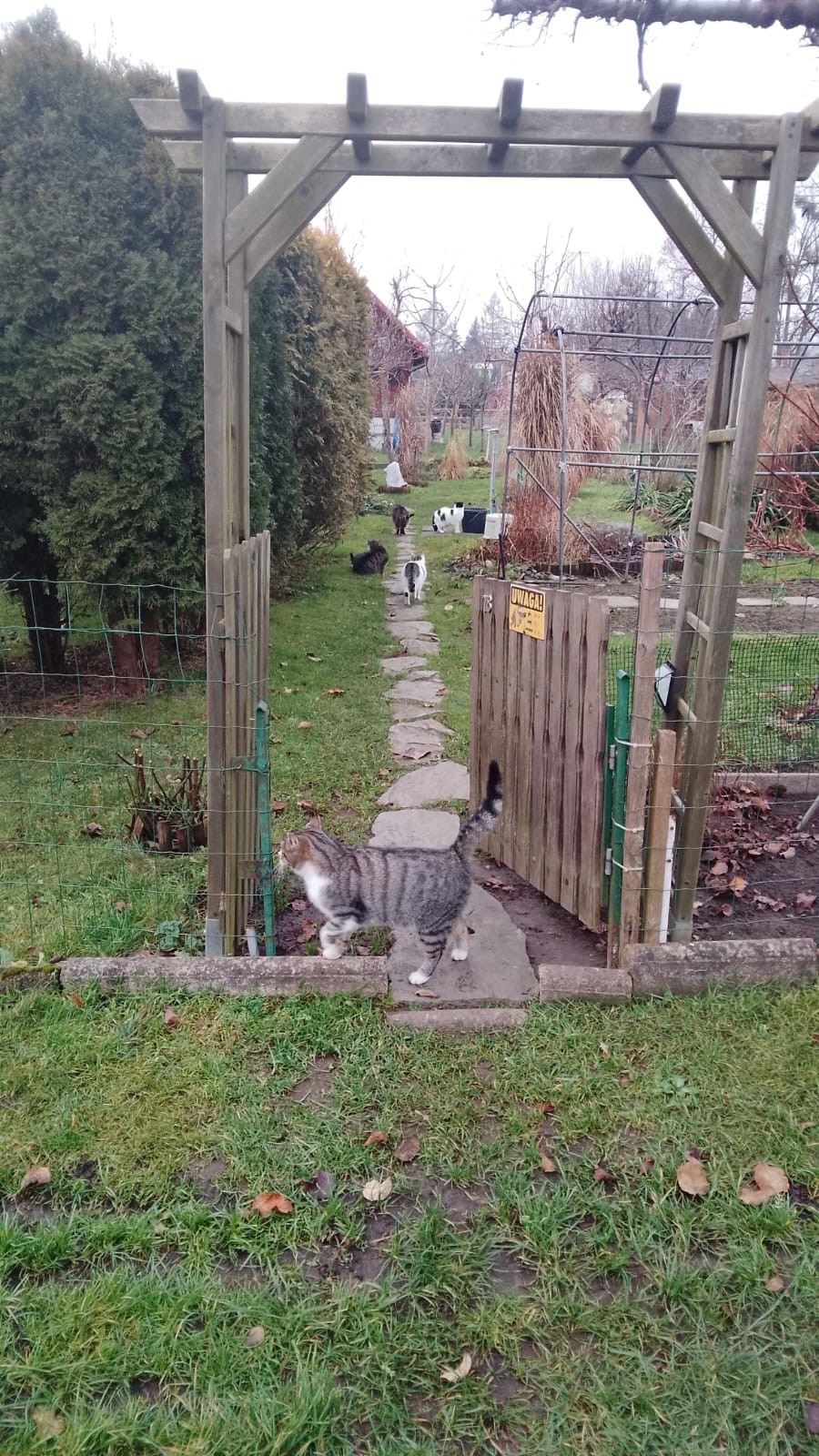 999055a4-5cf0-4137-85a2-a5f75d771a5a