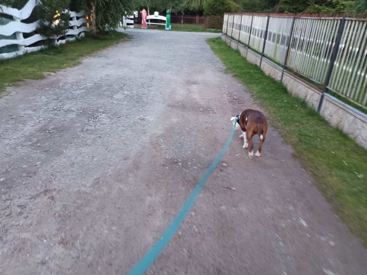 6403e489-42bb-4469-9ef1-de220241c679