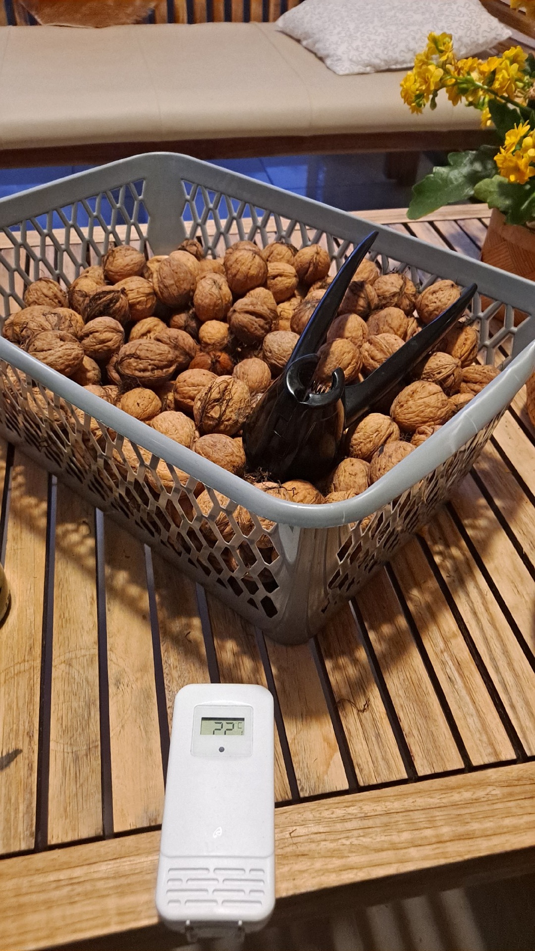 2cc51473-77c5-4bf9-a435-2b4099c218f6