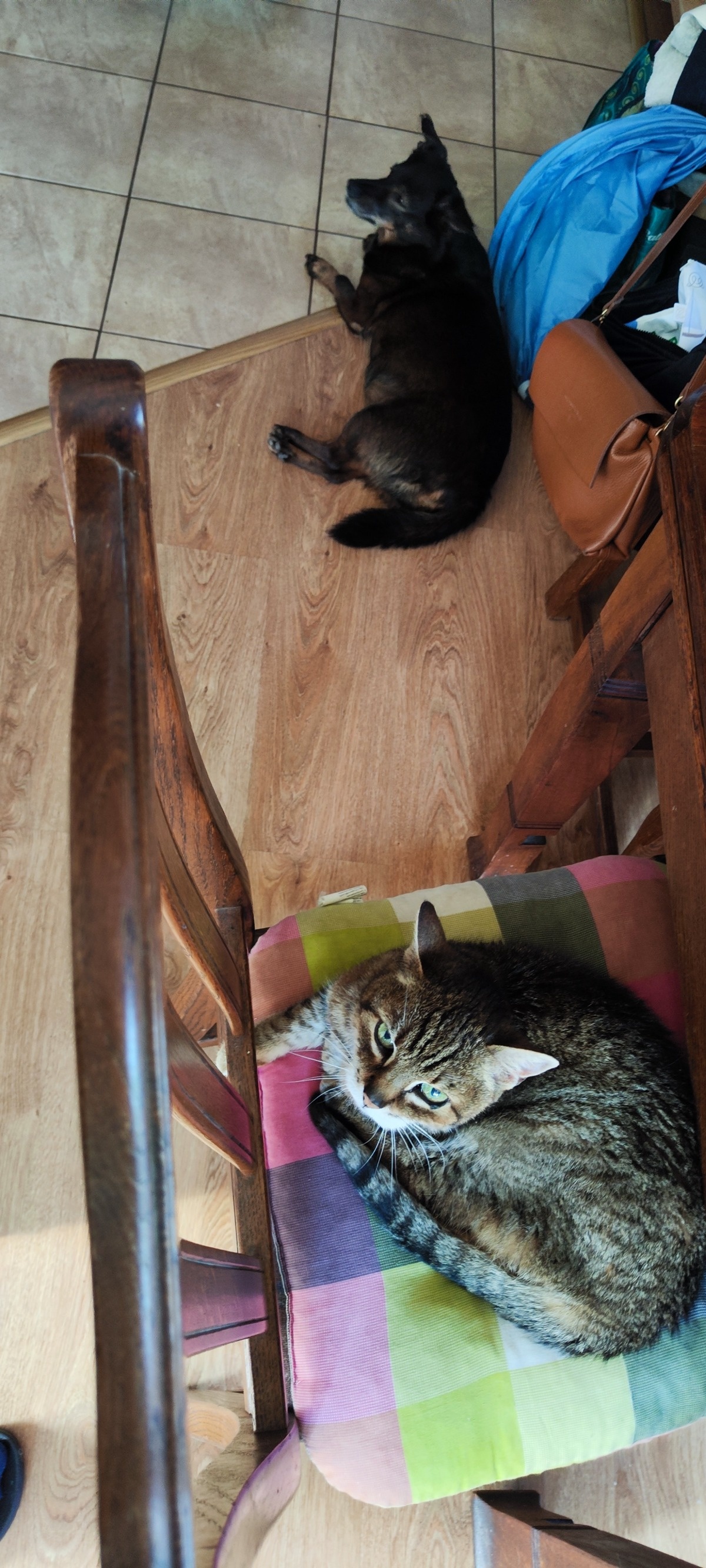 79b866f0-a0ba-4794-ba4f-6f2c83e0eded