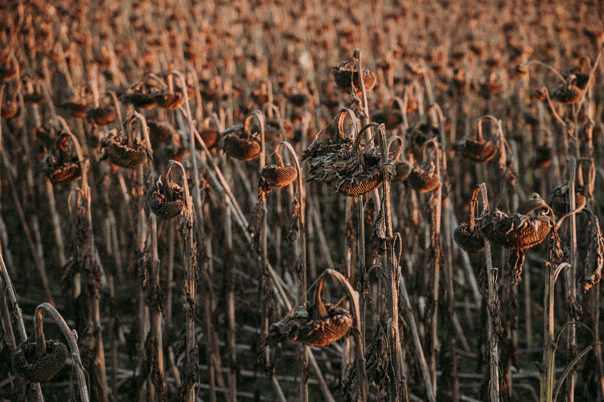 875142a5-15b4-46b9-8143-b56cf0b81ddd