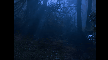 f40facc6-6068-47c4-8411-7c6fa71f0afc