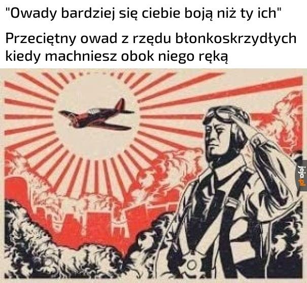 c543e799-fb04-4d8e-8023-557bb601d4ec